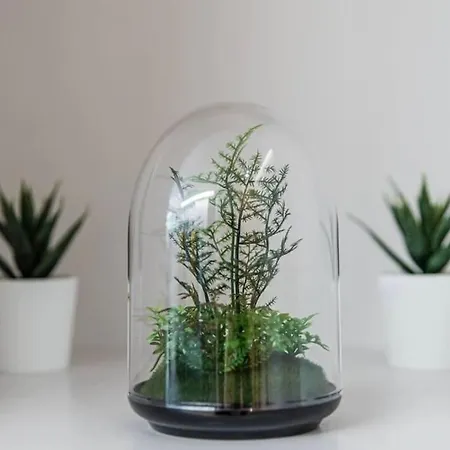 New Lux 2br Flat Free Parking Cedofeita 아파트 *