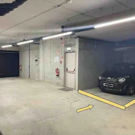 New Lux 2br Flat Free Parking Cedofeita *