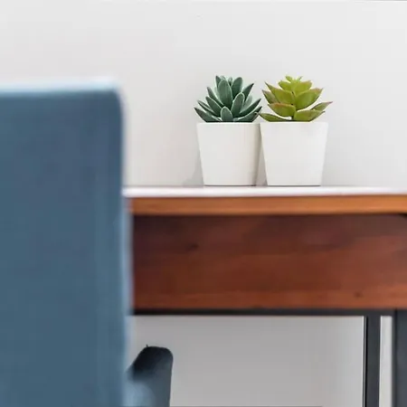 New Lux 2br Flat Free Parking Cedofeita Apartamento Oporto