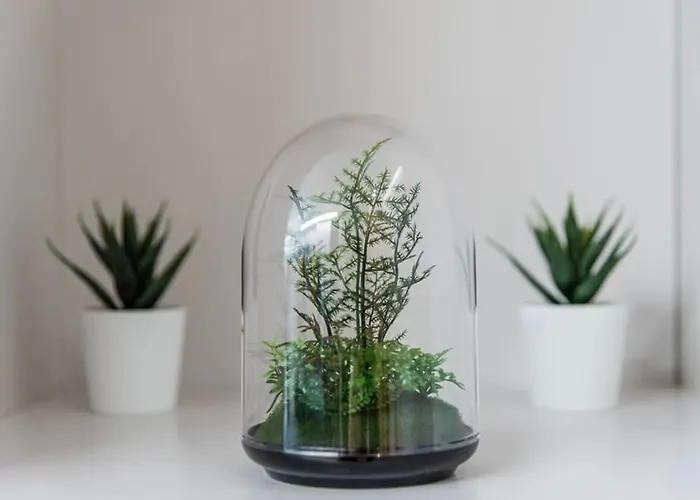 New Lux 2br Flat Free Parking Cedofeita Apartamento *